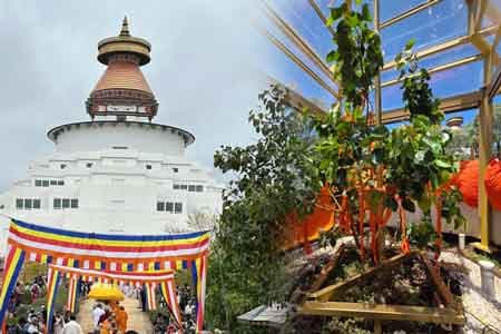 බෙන්ඩිගෝ බෝධි ධම්ම විහාරයේ බෝධීන් වහන්සේ ඔස්ට්රේලියානු උරුම ලැයිස්තුවට