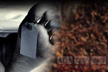 දුම්කොළ භාවිතය නිසා වසරකට මරණ 22,000ක්