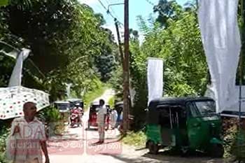 ඩෙංගු රෝගීන් 55,000 පනී - මරණ 32 දක්වා ඉහළට