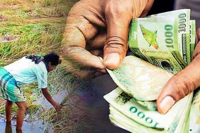 දිට්වා නිසා හානි වූ ගොවීන් 202,025කට වන්දි ගෙවා අවසන්