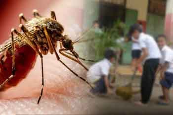 වසරේ මුල් මාස 6ට වැඩිම ඩෙංගු පරිශ්ර පාසල්වලින්