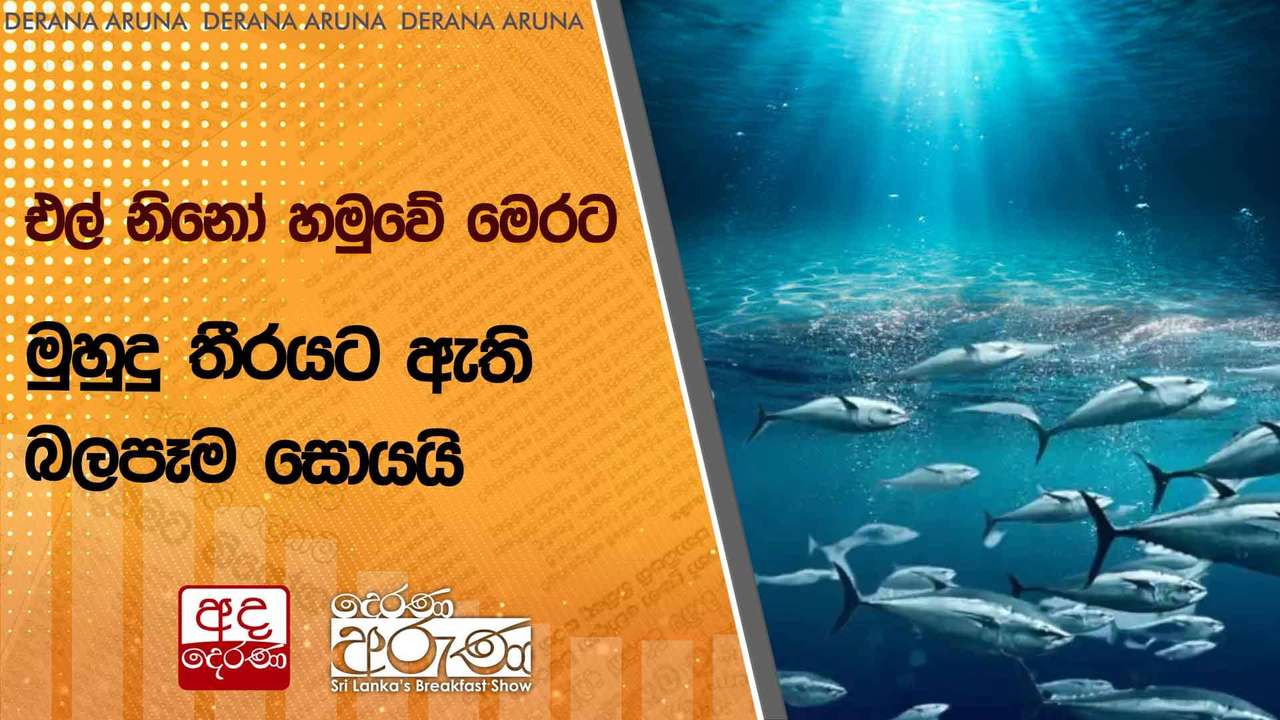 එල් නිනෝ හමුවේ මෙරට මුහුදු තීරයට ඇති බලපෑම සොයයි