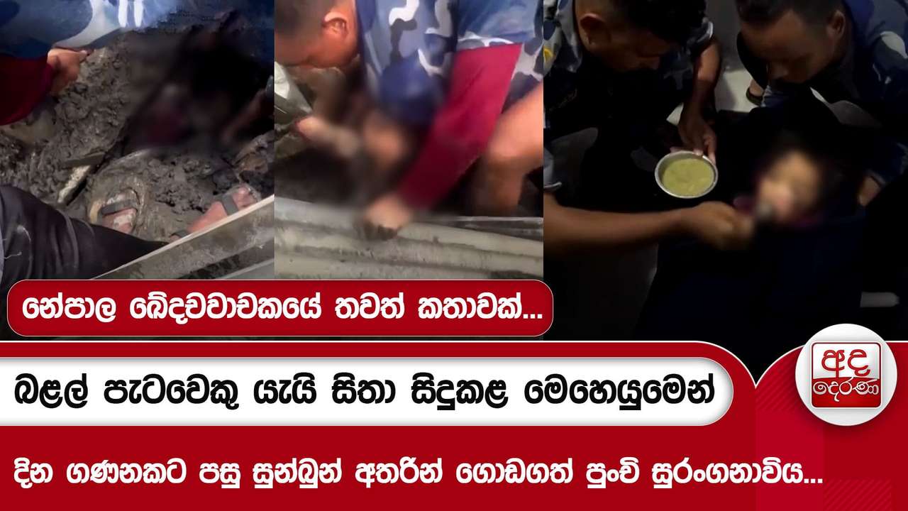 බළල් පැටවෙකු යැයි සිතා සිදුකළ මෙහෙයුමෙන් දින ගණනකට පසු සුන්බුන් අතරින් ගොඩගත් පුංචි සුරංගනාවිය...