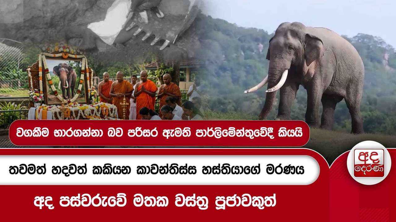 තවමත් හදවත් කකියන කාවන්තිස්ස හස්තියාගේ මරණය