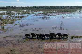 නිජබිම් වෙත...