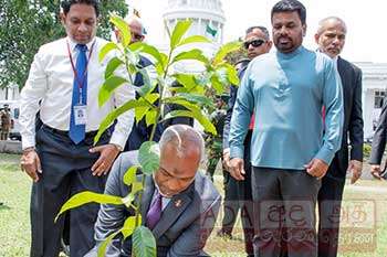 මාලදිවයින් ජනාධිපතිගෙන් රටට පැළයක්...