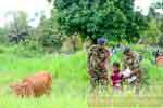 ගවයින් සඳහා අභයදානය දීම