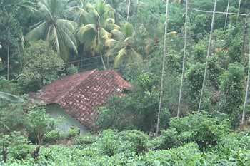 මාකදුර බස්නකන්ද නායයෑමේ අවදානමක් - පවුල් හයක් ඉවත් කරයි