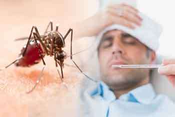 ඩෙංගු රෝගීන් 59,000 ඉක්මවයි
