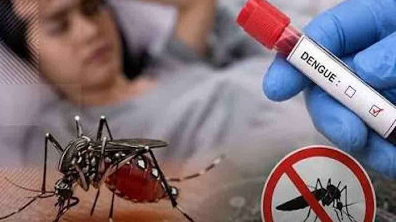 ඩෙංගු රෝගීන් ගණන 94,000 ඉක්මවයි