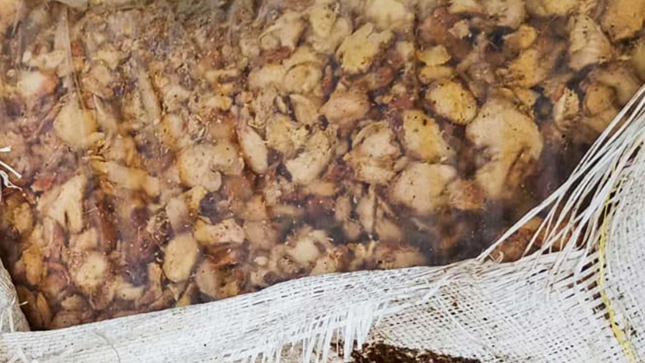ජාවාරම්කරුවන් අතහැර දැමූ වියළි ඉඟුරු තොගයක් නාවික හමුදාව භාරයට 
