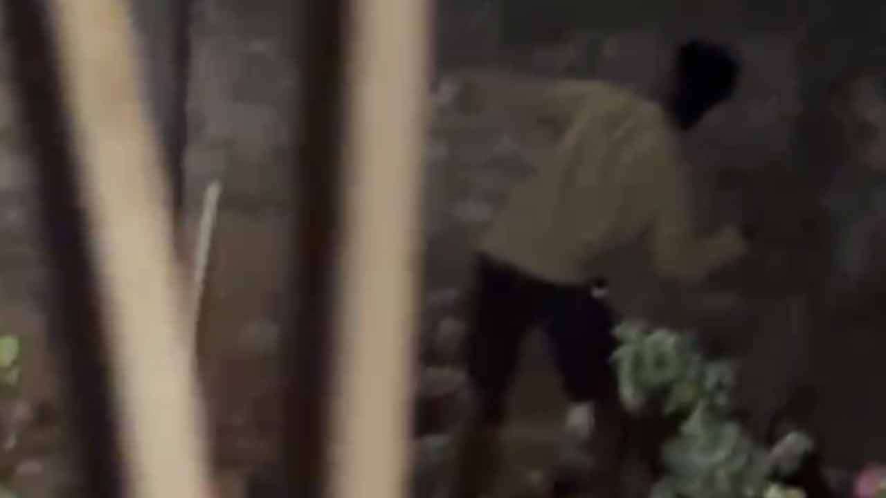 විශ්‍රාමික රාජ්‍ය නිලධාරියෙකුගේ නිවසේ CCTV කැමරා කැඩූ මාලිමාවේ ප්‍රා. සභා මන්ත්‍රී අත්අඩංගුවට