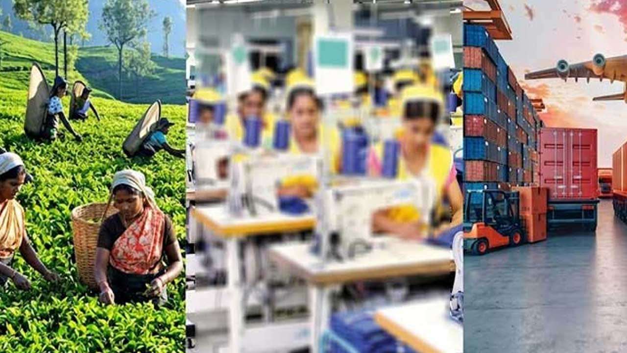 ජූලි මාසයේ තේ, පොල් සහ ඇඟලුම් අපනයන ආදායම පහළට