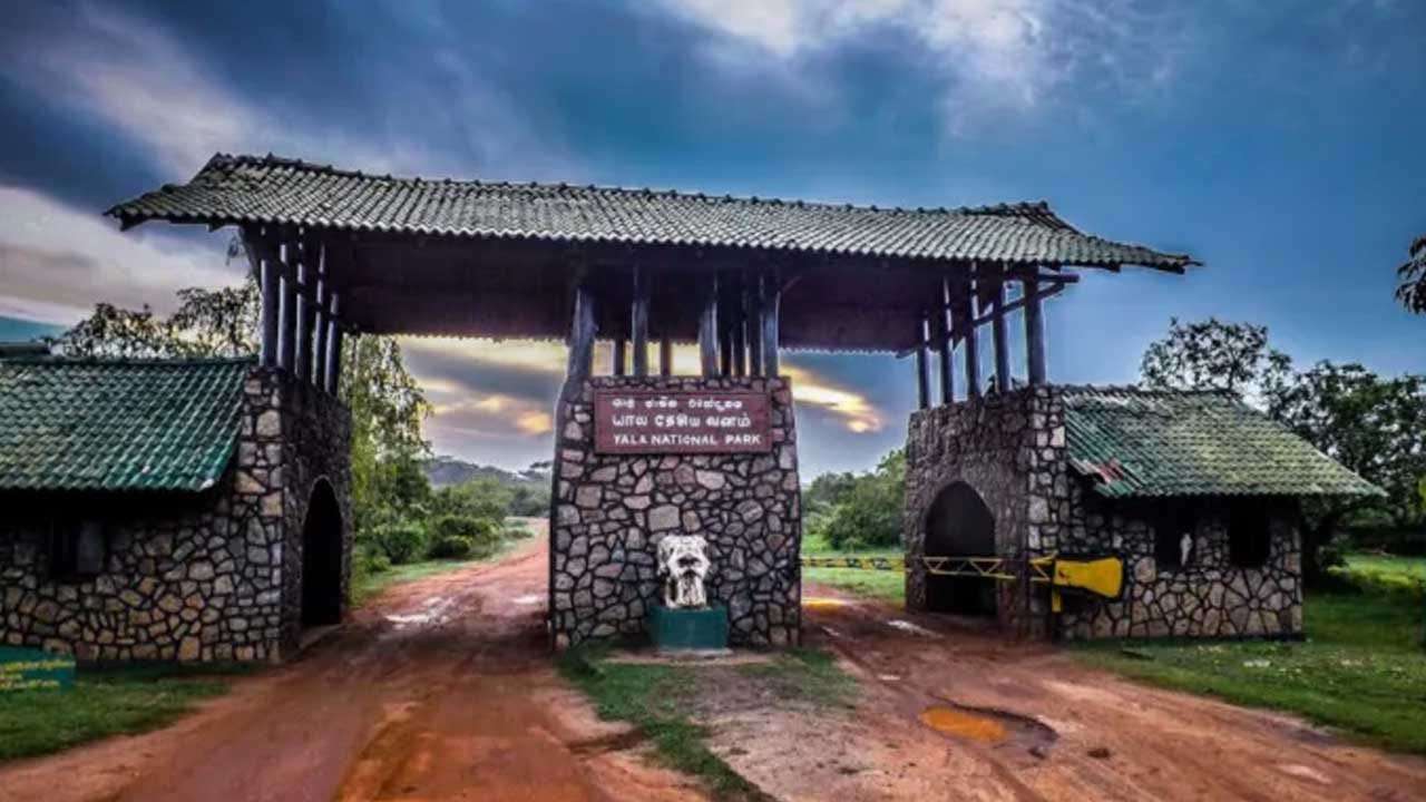 අධික උෂ්ණත්වය හේතුවෙන් යාල කලාප දෙකක් වසා දැමීමට තීරණයක්