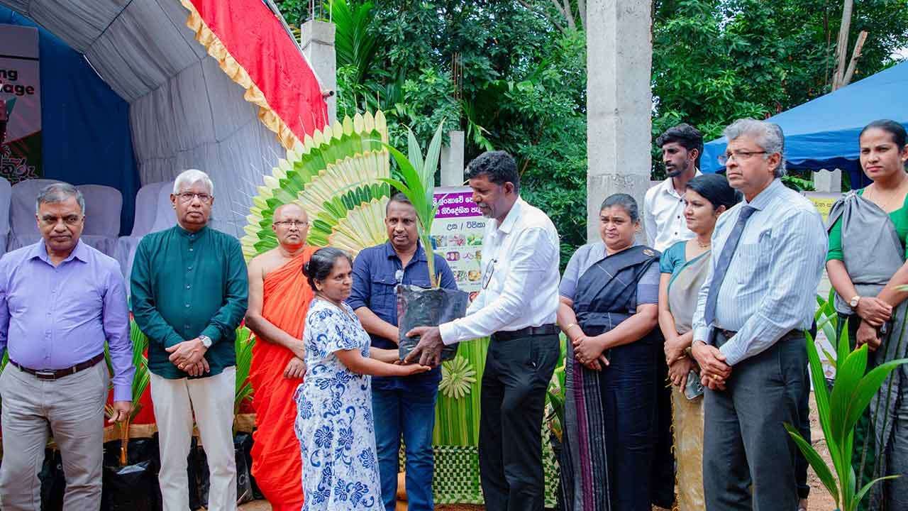 ජාතික තැඹිලි ගම්මාන 250ක් ස්ථාපිත කිරීමේ ව්‍යාපෘතියේ බදුල්ල දිස්ත්‍රික් වැඩසටහන ඇරඹේ