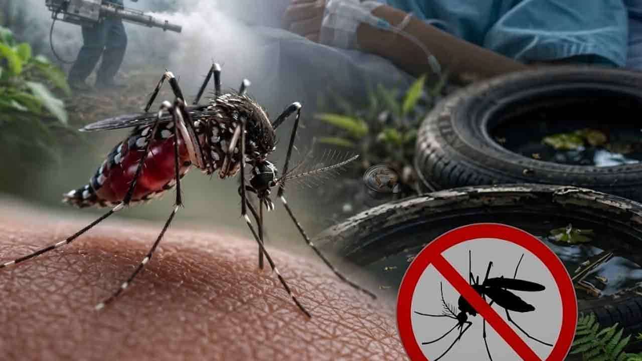 ඩෙංගු මරණ ගණන  75ක් දක්වා ඉහළට