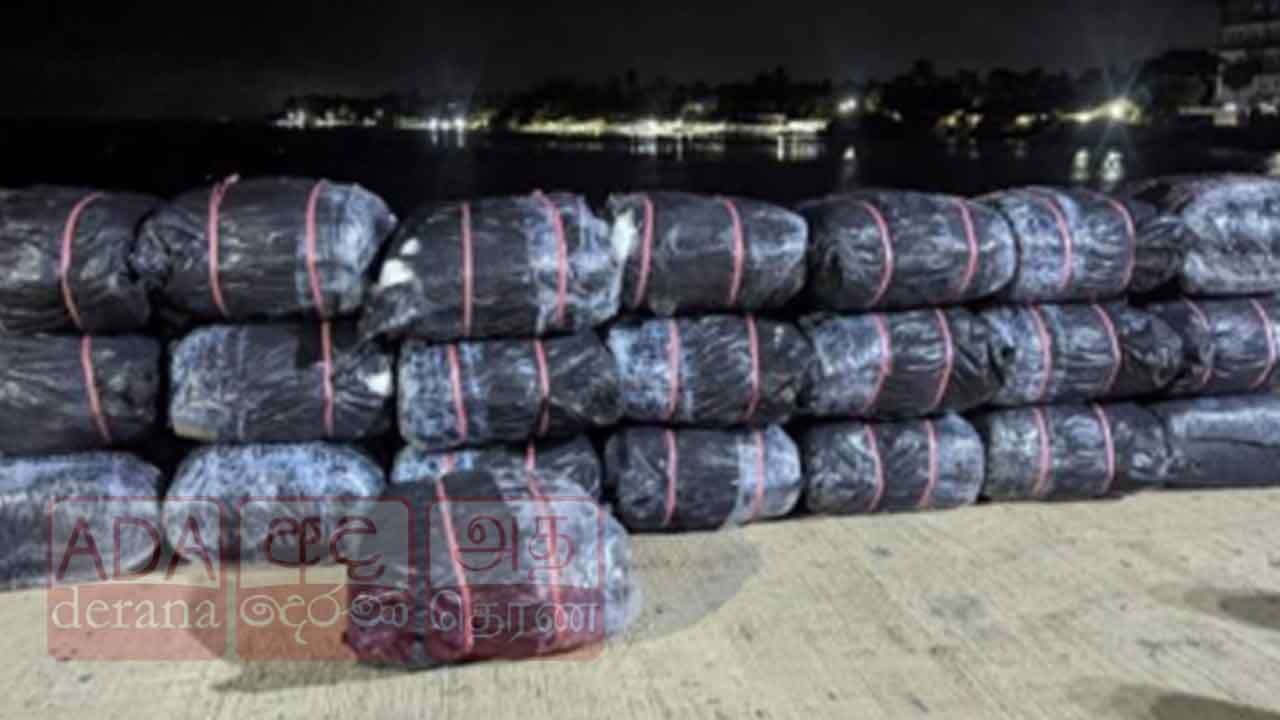 නීතිවිරෝධීව ගෙනා බීඩි කොළ කිලෝග්‍රෑම් 821ක් සමඟ සැකකරුවන් දෙදෙනෙකු නාවික හමුදා භාරයට