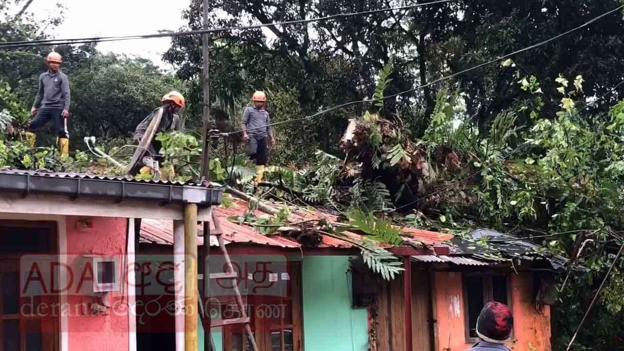 නාවලපිටියේ වතු නිවාස පේළියකට ගසක් කඩා වැටෙයි - තිදෙනෙකුට තුවාල, නිවාස 5ක් සම්පූර්ණයෙන්ම විනාශයි