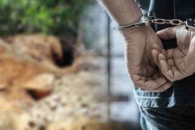 නිදන් හොයන්න ගිය අයෙකු අත්අඩංගුවට