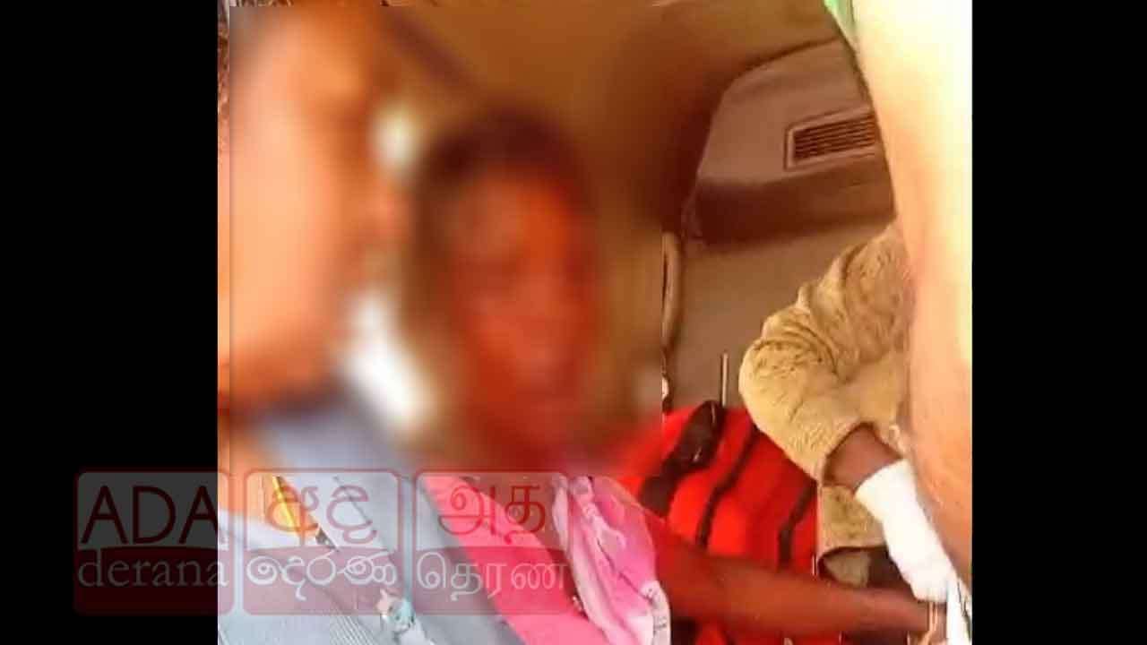 තේ දළු නෙළමින් සිටි කාන්තාවකට බඹර ප්‍රහාරයක් - බරපතළ තුවාල