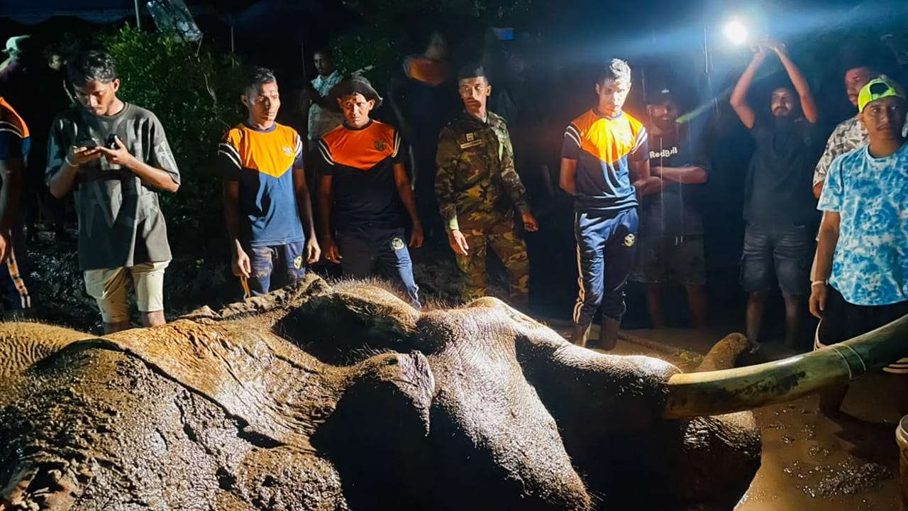 කාවන්තිස්ස ඇත් රජු මෙලොවින් සමුගනී 