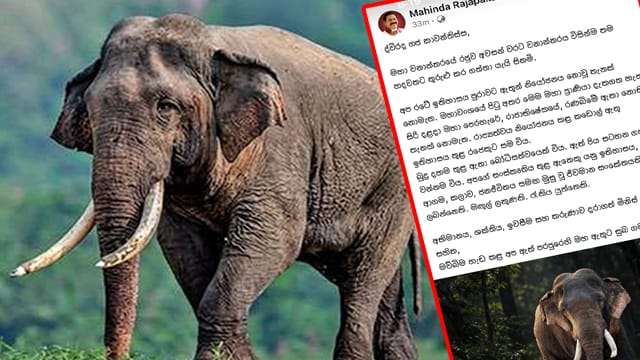 කාවන්තිස්ස ඇත් රජුගේ වියෝව වෙනුවෙන් හිටපු ජනාධිපති මහින්දගෙන් සංවේදී සටහනක්