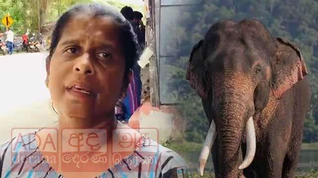 කාවන්තිස්සට සාධාරණය ! ‍‍වෙඩි තැබූ බවට සැක පුද්ගලයාගේ බිරිඳගෙන් ආයාචනයක්