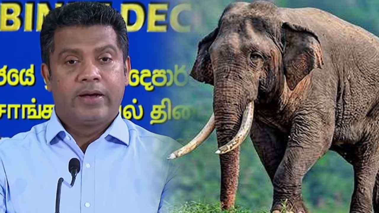 කාවන්තිස්ස ඇතාගේ මරණය ගැන විමර්ශන ප්‍රගතිය ඇමති නලින්ද කියයි