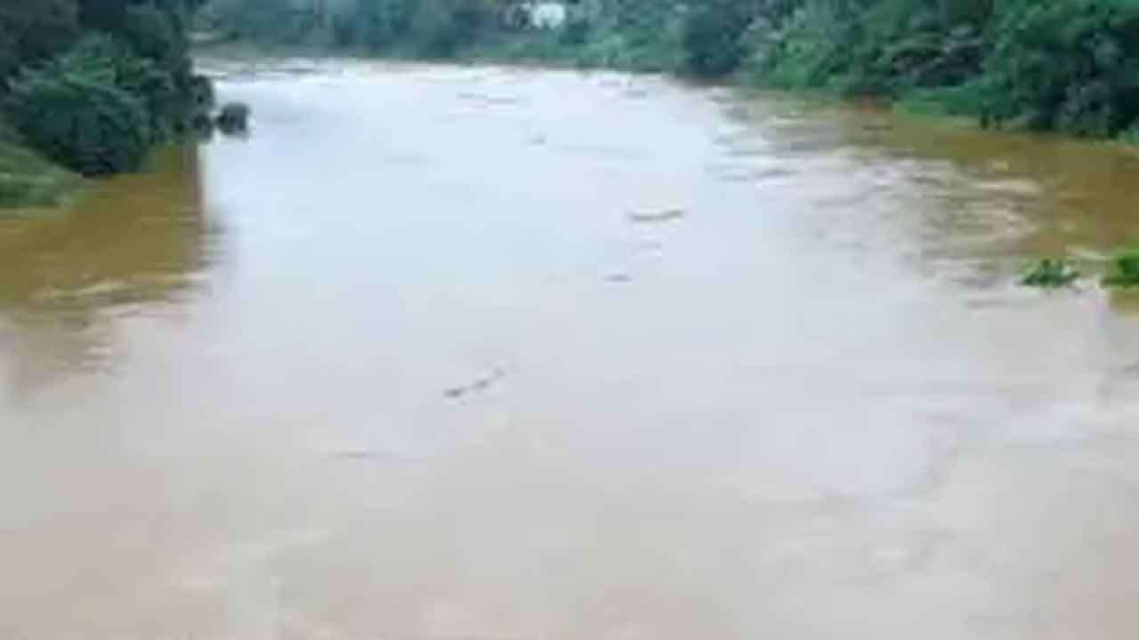 කැලණි ගඟ ද්‍රෝණියේ ඉහළ ධාරා ප්‍රදේශවලට තද වැසි - පහත්බිම් ප්‍රදේශවලට සුළු ගංවතුර අවදානමක්
