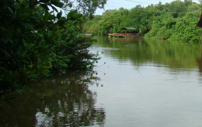 පුතා සමඟ උරණ වූ මව ගිං ඔයට පනී