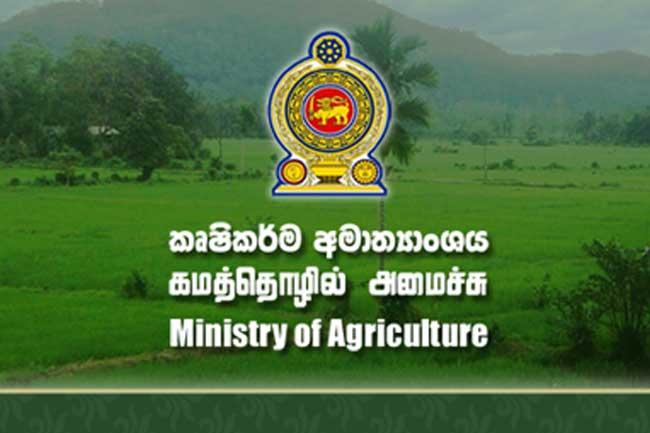 වගා සංවර්ධන කලාප දෙකක් මොනරාගලට