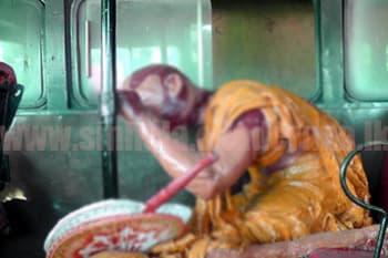 අරන්තලාවේ භික්ෂු ඝාතනයට අදට වසර 33 ක්
