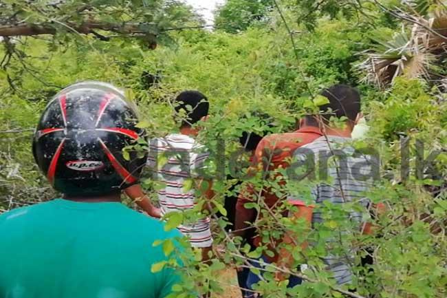 නාරාහේන්පිට අත් බෝම්බයේ සැකකරුට හිටපු LTTE සාමාජිකයෙක් පුහුණුව ලබාදී ඇතිබව හෙළිවෙයි