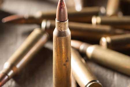 කොළඹ ගොඩනැගිල්ලක තිබී ජීව උණ්ඩ තොගයක් හමුවෙයි