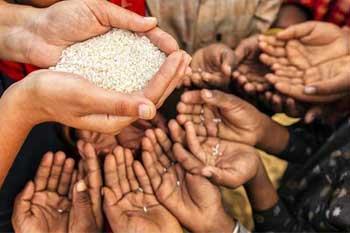 ලෝක සාගිනි දර්ශකයේ ශ්‍රී ලංකාව ට හිමි තැන