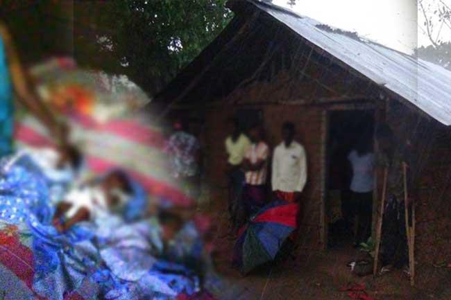 කැලේ පැලට ආ තුන් නිවුන් දරු පැටවුන්ගේ දුක හිතෙන කතාව