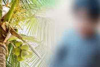සිඟිත්තියකට අත්වූ ඉරණම