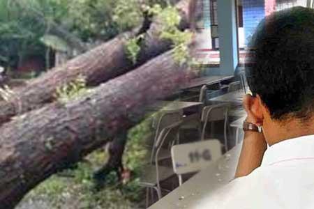 පාසල් ගොඩනැගිල්ලකට ගසක අත්තක් කඩාවැටී සිසුවෙක් මරුට