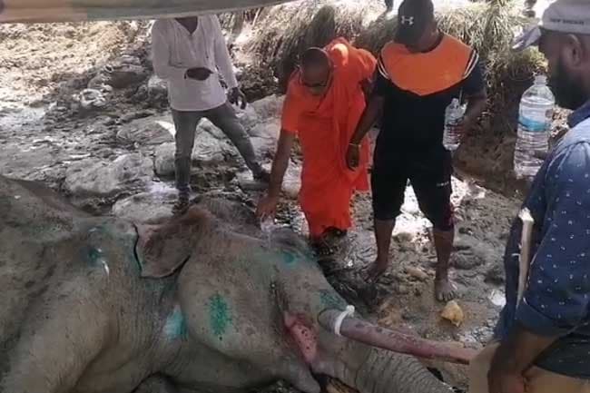 භාතිය ගැන ඇහෙන අලුත්ම ආරංචිය
