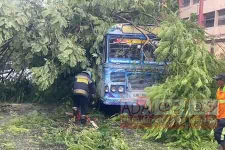 ඕල්කට් මාවතේ බස් රථයක් මතට ගසක් කඩා වැටෙයි