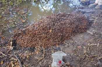 පාසලක් අසල තිබී උණ්ඩ තොගයක් හමුවෙයි