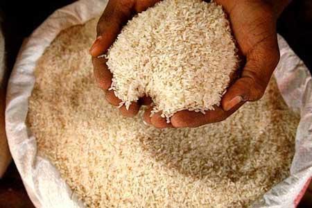 කීරි සම්බා හිඟයට විසඳුමක් ලෙස පොන්නි සම්බා ගෙනෙයි
