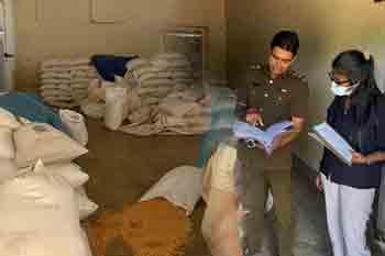 කෘමි හානි සහිත ධාන්‍ය ටොන් 04ක ගබඩාවක් වටලයි