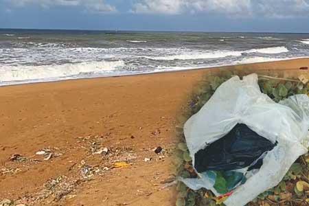කටුකුරුන්ද වෙරළ තීරයේ රු. කෝටි 3ක හෂීෂ්