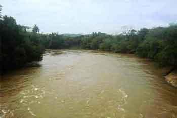 ජලාශවල ජල මට්ටම් ක්‍රමයෙන් පහළට