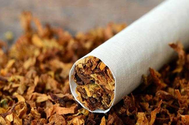 දුම්කොළ සහ දුම්වැටි හේතුවෙන් වසරකට ශ්‍රී ලංකාවේ මරණ 22,000ක්
