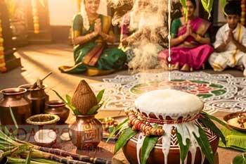 තෛපොංගල් දිනය අදයි