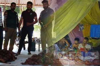 විල්පත්තුවේ ජයටම කෙරෙන දඩමස් ජාවාරම