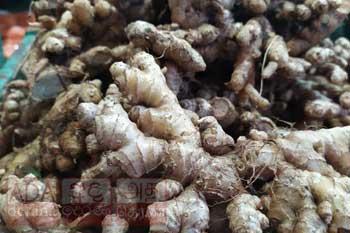 දේශීය වෙළෙඳපොළේ අමුඉඟුරුවල හිඟයක්