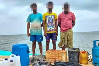 කැස්බෑ මස් සහ බිත්තර තොගයක් සමඟ තිදෙනෙක් අත්අඩංගුවට